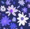 [Avatar]