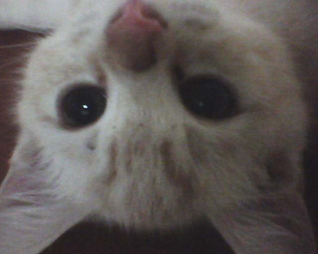 [Avatar]