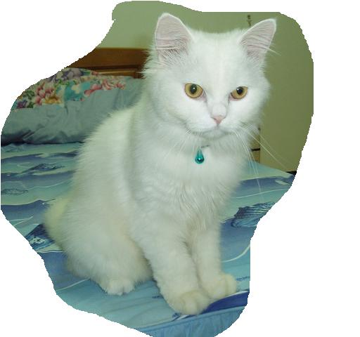 [Avatar]