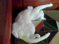 [Avatar]