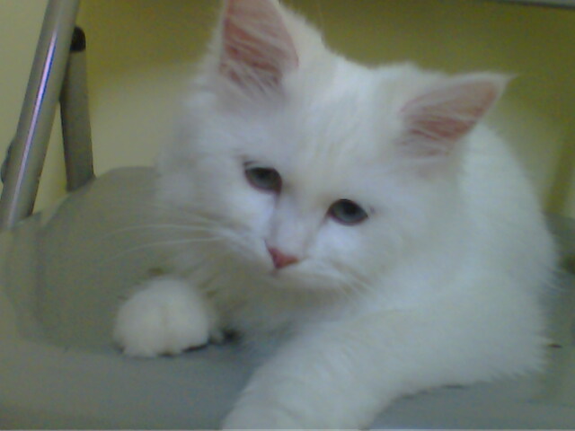 [Avatar]
