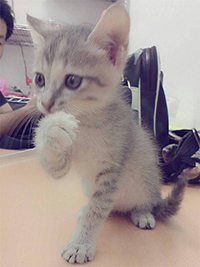 [Avatar]