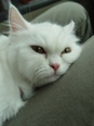 [Avatar]