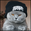 [Avatar]