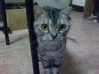 [Avatar]