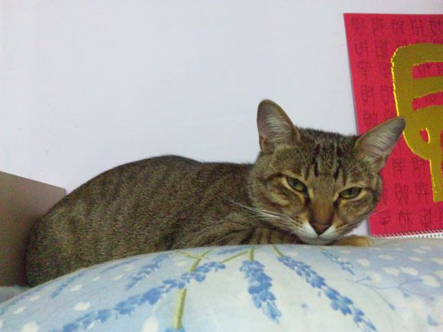[Avatar]