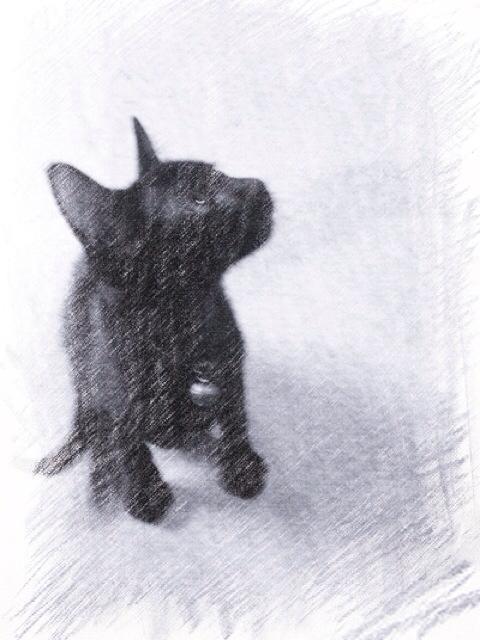 [Avatar]