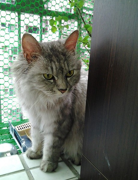 [Avatar]