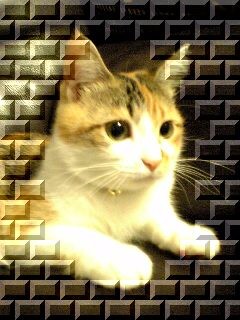 [Avatar]